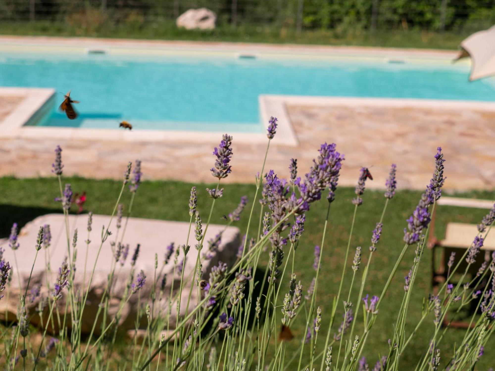 Lacelletta Country House Urbino Eksteriør billede